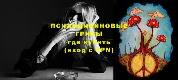хмурый Аркадак