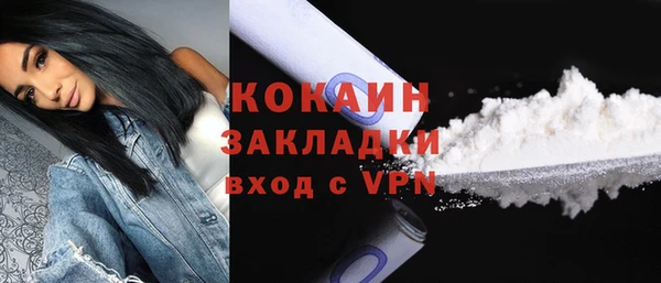 хмурый Аркадак