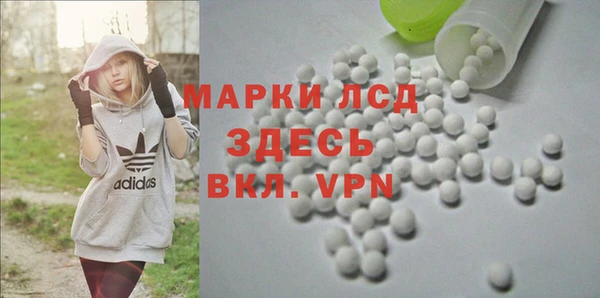 ПСИЛОЦИБИНОВЫЕ ГРИБЫ Армянск