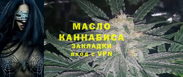 хмурый Аркадак