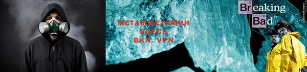 хмурый Аркадак
