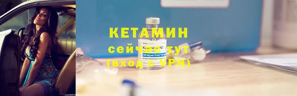 хмурый Аркадак