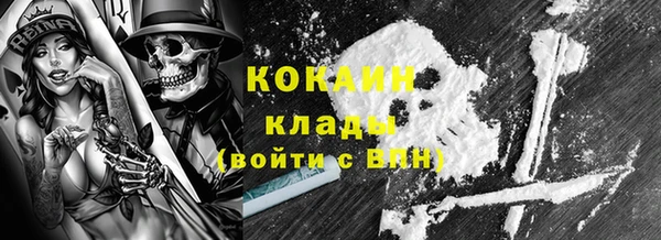 хмурый Аркадак