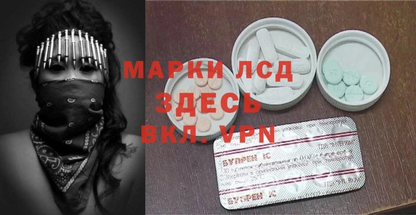 хмурый Аркадак