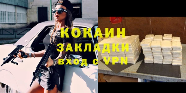 хмурый Аркадак
