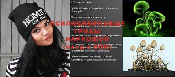 apvp Снежногорск