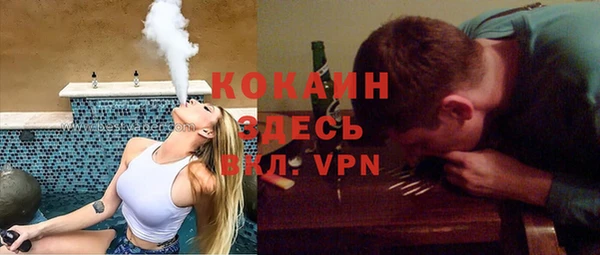 хмурый Аркадак