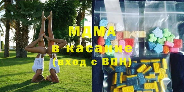 хмурый Аркадак